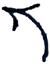 arrow-topL.webp